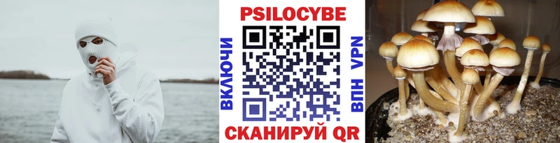 Галлюциногенные грибы мицелий  Апатиты 